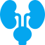 Urology Surgery